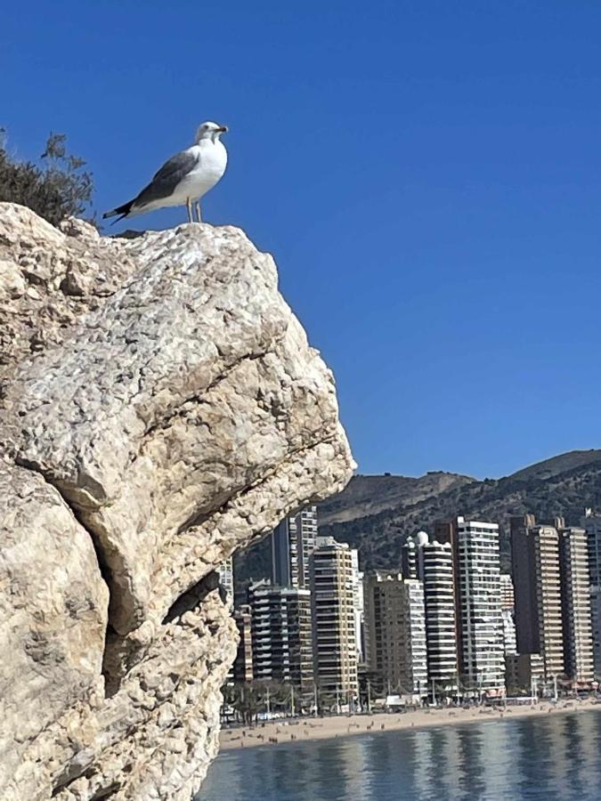 Apartmán Sonrisa Soleada Santa Pola Exteriér fotografie